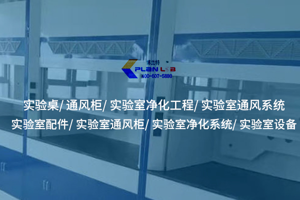 1731314034677467.jpg 博蘭特1.jpg