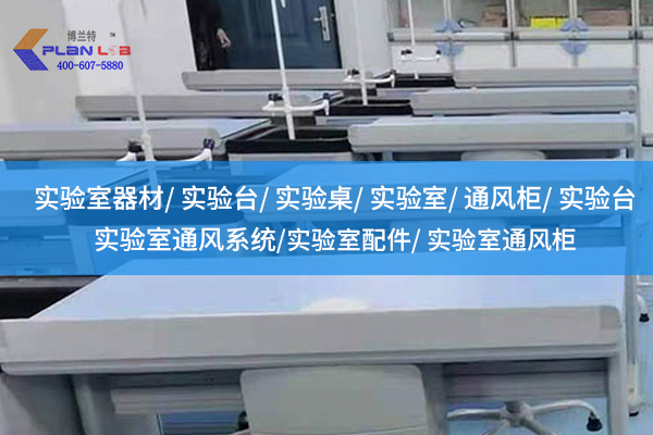 1744077177673772.jpg 博蘭特2.jpg